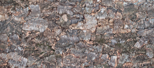 Naturprodukt Baumrinde Architektur Ökologisch