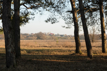 Fototapeta na wymiar landscape of spring meadows and a small village in the distance