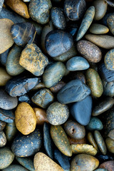 many small rock on the floor.