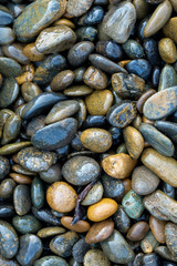 many small rock on the floor.