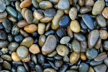 many small rock on the floor.