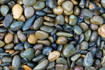 many small rock on the floor.