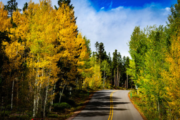 Obraz premium Golden Drive