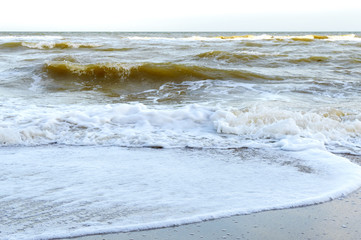 Waves on the shore. Sea wave close up on a sandy beach with sunlight.