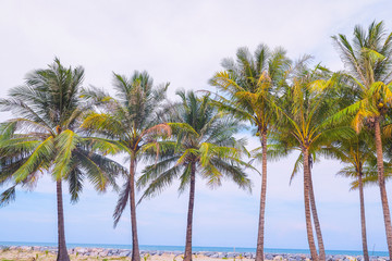 Obraz premium Coconut trees with sea view background ,summer or vacation concept