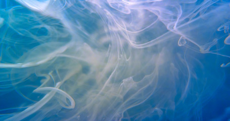 Blue And White Paint. Threads And Drops Mixing In Water.