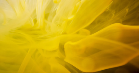 V118Yellow Paint. Threads And Drops Mixing In Water. Ink Swirling.