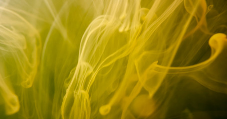 V118Yellow Paint. Threads And Drops Mixing In Water. Ink Swirling.