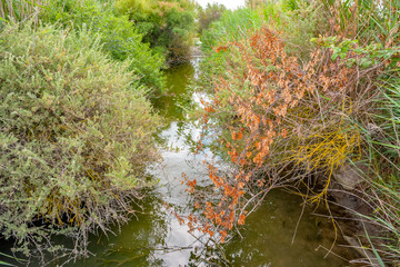 Regional Nature Park of the Camargue