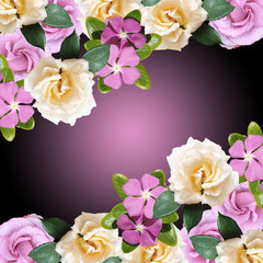 Beautiful floral background of phlox and roses. Isolated  
