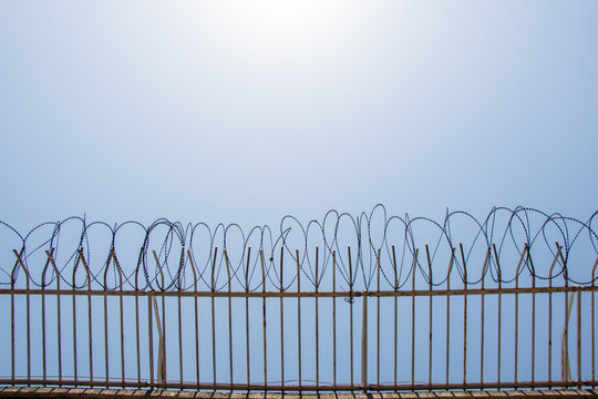 barbed fence  for protection purposes