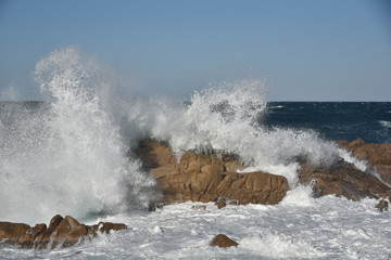 la maddalena - sardegna