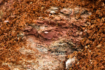  texture of different layers of clay underground in  clay quarry after geological study of soil.