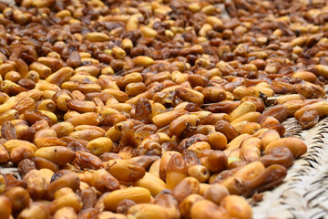 Sweet fruit dates food photography in garden