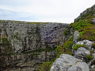 Table Mountain, Cape town, South Africa