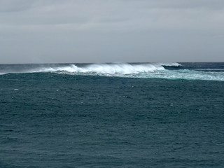 Seal, Cape town, South Africa, storm