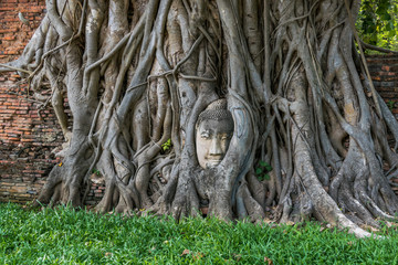Ayutthaya, Thailand - Buddha Face in the tree 