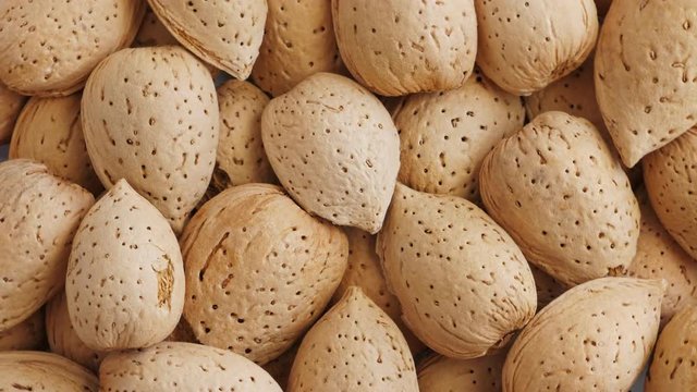 Almonds abstract background, top view. Rotate