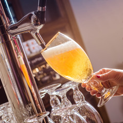 glass of beer