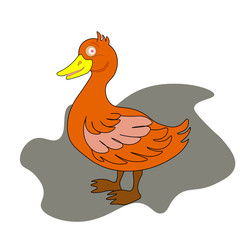duck flat icon