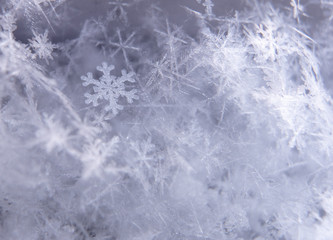 Fototapeta premium Closeup of sharp snowflake surrounded with other snowflakes in bokeh