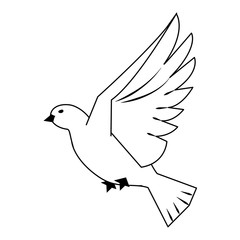 Dove bird flying cartoon in black and white
