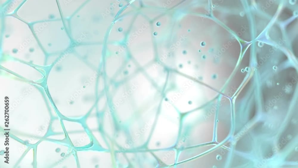 Wall mural bio net structure