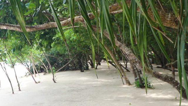 Lio Beach in El Nido Philippines