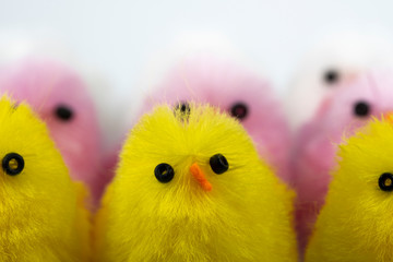 Toy chicks