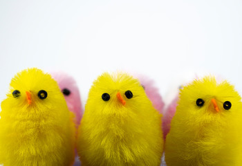 Toy chicks