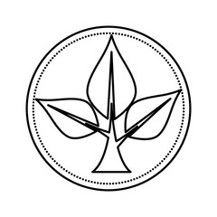 ecology leafs plant circular frame