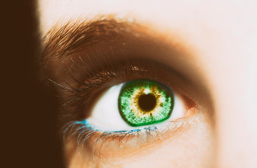 A beautiful insightful look eye. Close up shot