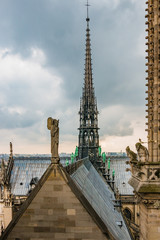 Fototapeta na wymiar Paris Notre Dame de Paris