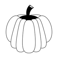 Pumpkin fresh vegetable in black and white