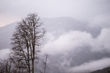 Thick fog in the mountains