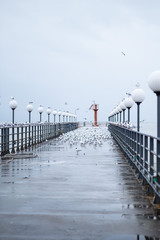 Gulls on a deserted pier on a cloudy day
