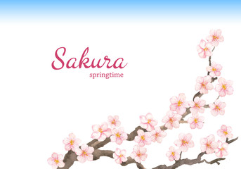 Vector Hand painted card with sakura flowers and branches. Watercolor illustration isolated on white background.