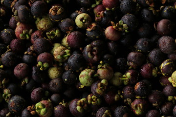 Mangosteen