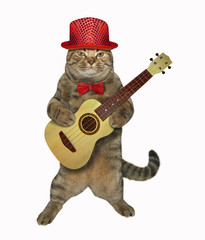 The cat in a red hat and a bow tie is playing the acoustic guitar. White background. Isolated.