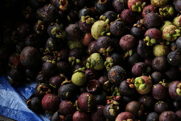 Mangosteen