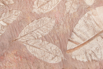 Tree leaf of tropical plant in printed on concrete surface for background