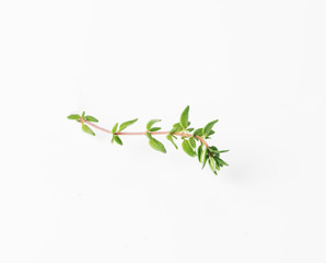 thyme isolated on white background