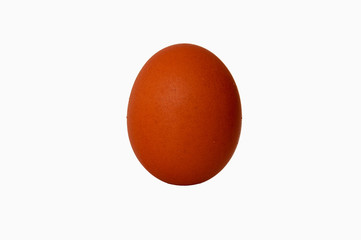 Brown chicken egg on an isolated white background