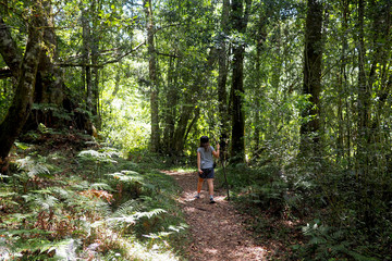 Young child walking down a lush forest path