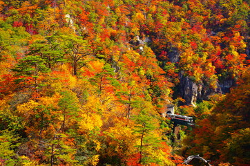 宮城、鳴子峡の紅葉