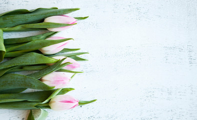 Bunch of pink tulips on white wooden table. Banner with copy space - Image