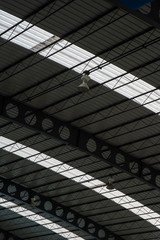 Interior of sport hall, seeing inside steel arch roof with sun glass, truss and sport lighting pendents.