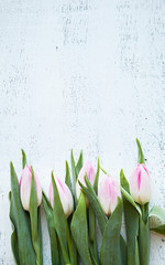 Bunch of pink tulips on white wood table, copyspace for text.