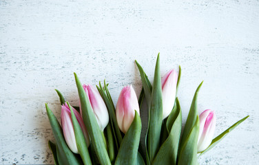 Bunch of pink tulips bouquet on wood white table top view copyspace for text