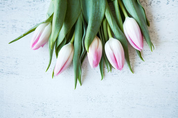 Bunch of pink tulips bouquet on wood white table top view copyspace for text